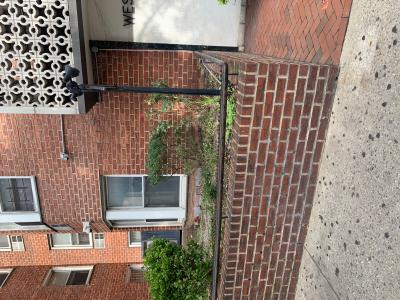 89-15 Parsons Blvd 11G, 牙买加, 纽约州 11432, 美国