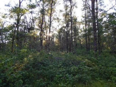 xxx Namekagon Trail, Danbury, Wisconsin 54830