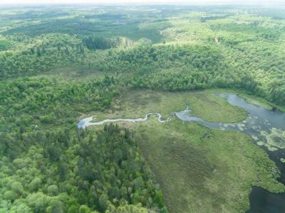 xxx Namekagon Trail, Danbury, Wisconsin 54830