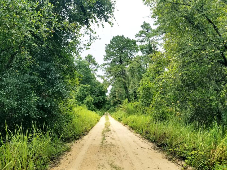 Lot 3 Edgehill Road, Satsuma, Floride 32189, États-Unis