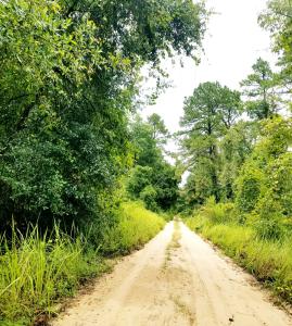 Lot 3 Edgehill Road, Satsuma, Floride 32189, États-Unis