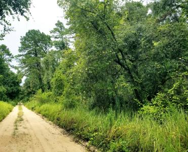 Lot 3 Edgehill Road, Satsuma, Floride 32189, États-Unis
