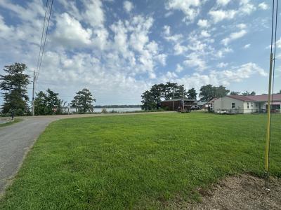 Lakeview Drive, Samburg, טנסי 38254, ארצות הברית של אמריקה