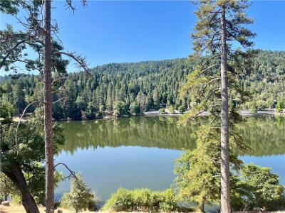 463 Delle Drive, Crestline, Калифорния 92325, Соединенные Штаты