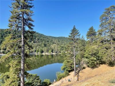 463 Delle Drive, Crestline, Калифорния 92325, Соединенные Штаты
