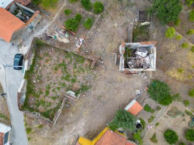 Torres Novas, Santarém 2350-070, Portugal