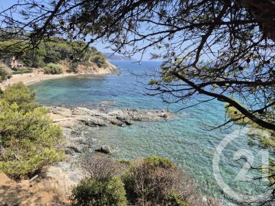 La Croix Valmer, Provence-Alpes-Côte D'Azur 83420, Francia