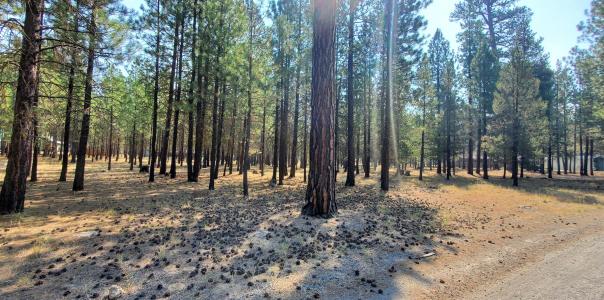 51986 Black Pine Way, La Pine, Oregon 97739, Estados Unidos