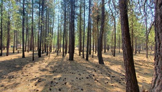 51986 Black Pine Way, La Pine, Oregon 97739, Estados Unidos
