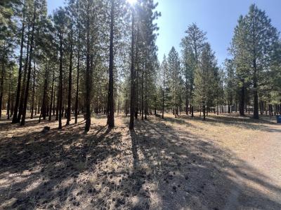 51986 Black Pine Way, La Pine, Oregon 97739, Estados Unidos