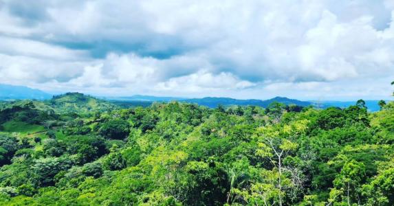 Bijagual Carara Turrubáres, San José 00001, 哥斯達尼加