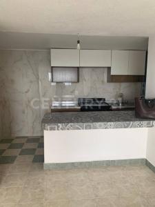 AVENIDA PANAMERICANA 240,, Coyoacán, Ciudad De México 04700, 墨西哥