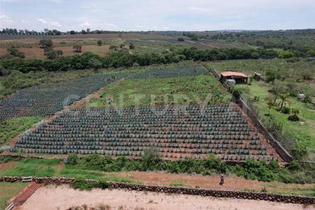 Arandas, Jalisco 47180, Messico