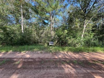 26733 Lake Shore Drive, Hempstead, Texas 77445, USA