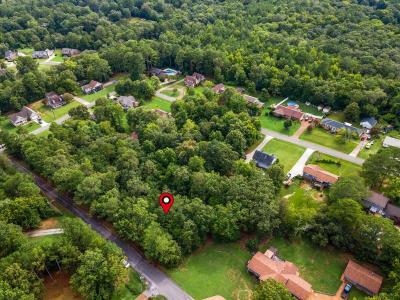 Lot 78 Edgewood Drive, Scottsboro, Alabama 35769, Estados Unidos