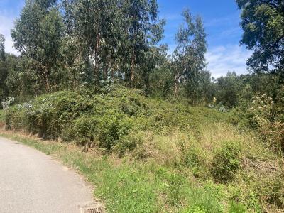 Valongo, 波尔图 4440-573, 葡萄牙