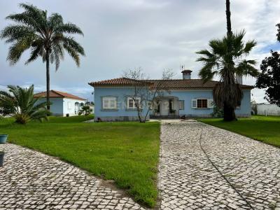 Salvaterra De Magos, Santarem 2125, Portugal