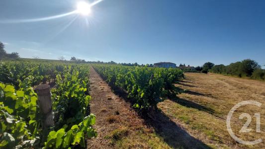 St Martin De Villereglan, Languedoc-Roussillon 11300, France