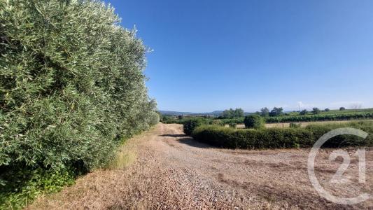 St Martin De Villereglan, Languedoc-Roussillon 11300, France