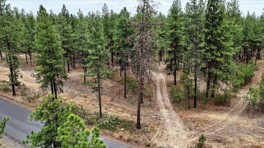 18505 W Buckboard Rd, Medical Lake, Washington 99022, Estados Unidos
