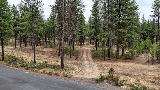 18505 W Buckboard Rd, Medical Lake, Washington 99022, Estados Unidos