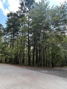 000 Jalisco Way, Hot Springs Village, Arkansas 71909