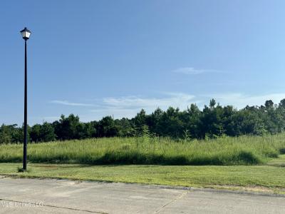Lot 24 Atlantis Drive, Bay Saint Louis, Mississippi 39520, HOA KỲ