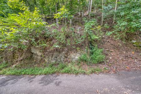 Lot 24 Furches Drive, Gray, 테네시 37615, 미국