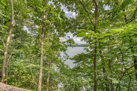 Lot 24 Furches Drive, Gray, 테네시 37615, 미국