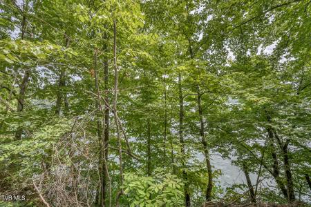 Lot 24 Furches Drive, Gray, 테네시 37615, 미국