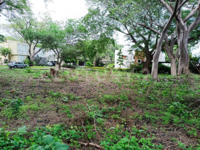 Del Roble LOTE 85,, Villa De Álvarez, Colima 28977, Mexique