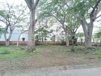 Del Roble LOTE 85,, Villa De Álvarez, Colima 28977, Mexique