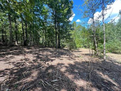 159 County Road 389, Bono, Arkansas 72416