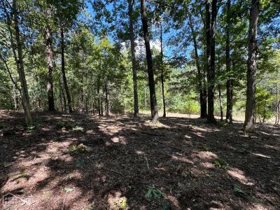 159 County Road 389, Bono, Arkansas 72416