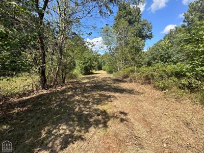 159 County Road 389, Bono, Arkansas 72416