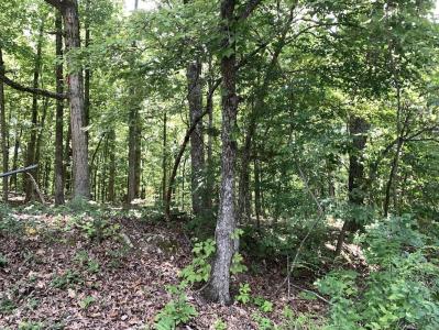 N Summit Ridge Dr, Ozark Acres, 阿肯色州 72482, 美国