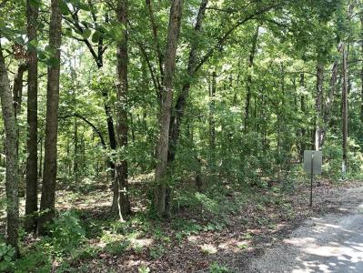 N Summit Ridge Dr, Ozark Acres, 阿肯色州 72482, 美国