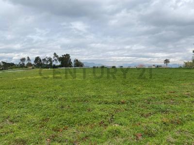 tababela s/n, Quito, Pichincha 00001, Ecuador