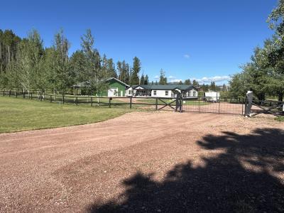 5 West Creekside Court, Philipsburg, Montana 59858, USA