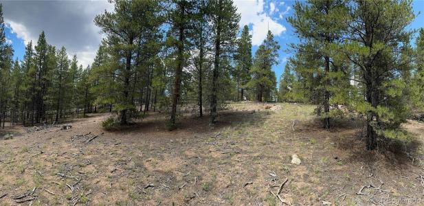 218 Aspen Drive, Twin Lakes, Colorado 81251, USA