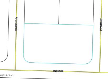 Cedar Drive, Vernon, Floride 32462, États-Unis