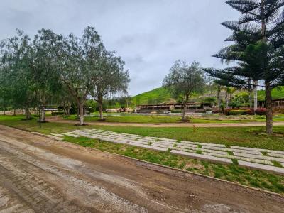 Fundo Las Praderas , Cañete, Lima 00001, Peru