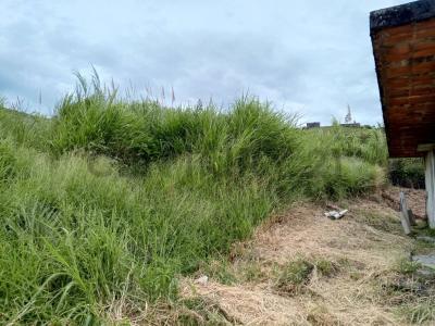 Sector Velandria, Aldea Sucre SN, Capacho, Táchira 5001, Venezuela