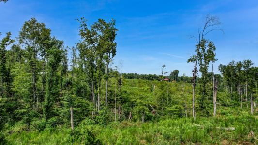 00 Roberson Lane, Reidsville, Carolina Do Norte 27320, Estados Unidos