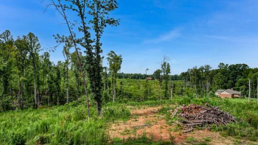 00 Roberson Lane, Reidsville, Carolina Do Norte 27320, Estados Unidos