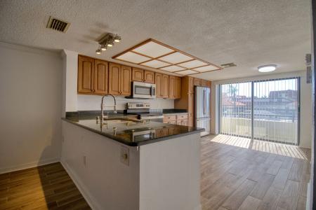 128 1st St E #102, Tierra Verde, Florida 33715, USA