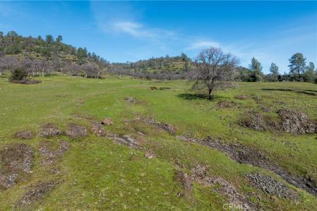 Wilder, Chico, California 95928