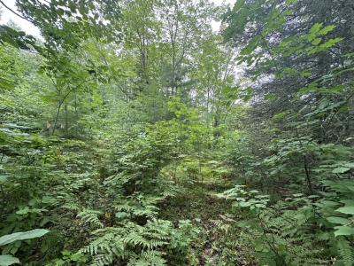 Lot 7 CTH B, Land O Lakes, Wisconsin 54540, USA
