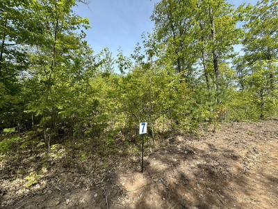 Lot 7 CTH B, Land O Lakes, Wisconsin 54540, USA
