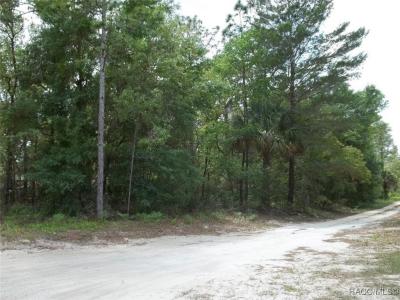 7058 W Elmhurst Street, Crystal River, Florida 34429, Amerika Birleşik Devletleri